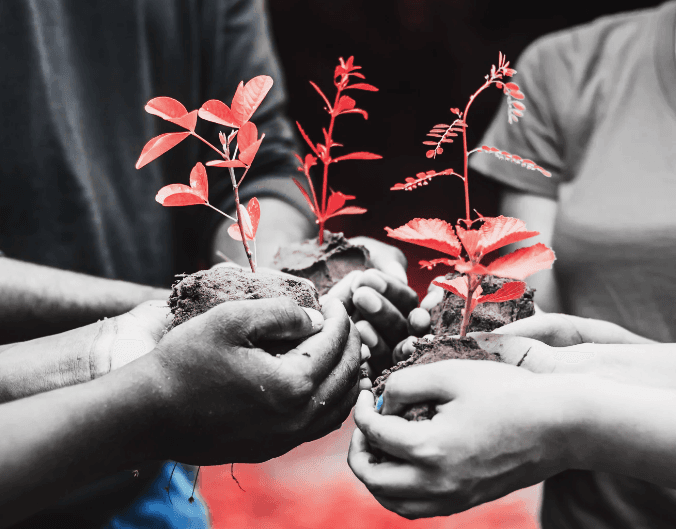 The Need for Frequent Upskilling in the Age of GenAI — LinkedIn